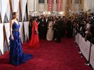 Brie Larsonová na erveném koberci 88. roníku udílení Oscar (28. února 2016)