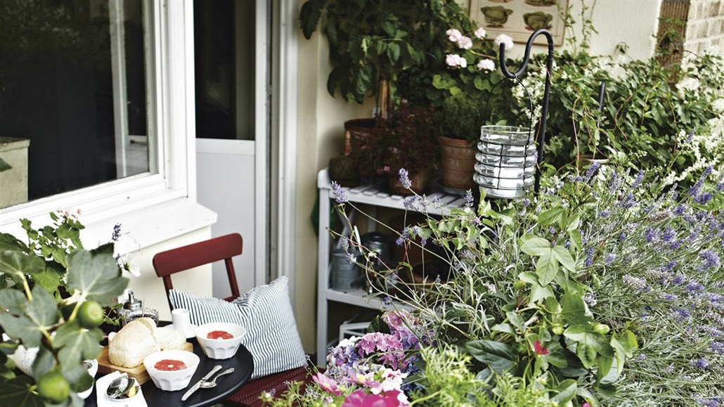 Na ji�ním balkon� se bude da�it rostlinám ze St�edomo�í, m��ete zkusit p�stovat...
