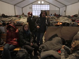 Idomeni, ecko