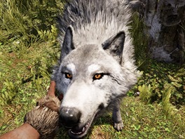 Far Cry Primal