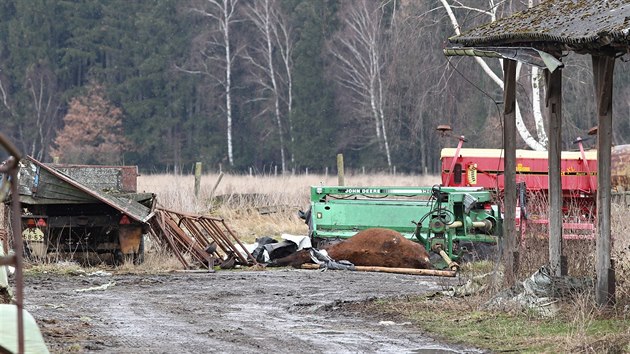 Na farm se povaluj mrtv kusy dobytka.