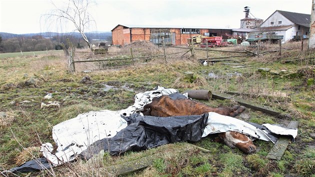 Nkter uhynul krvy jsou pikryt starou dravou plachtou, jin tla le jen tak voln pohozen v arelu.