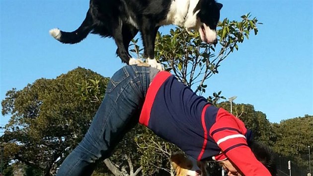 Trénovat se dá všude, Dai se svými psy trénuje i v parku.