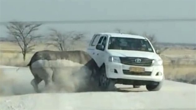 Na auto s turisty v NP Etosha v Namibii zatoil nosoroec dvouroh.