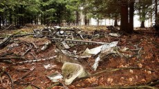 Trosky polského vrtulníku.