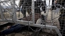 Migrant podlézá hraniní bariéru plot na ecko-makedonské hranici poblí...