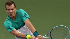 RETURN.Tomá Berdych na turnaji v Dubaji.