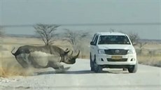 Na auto s turisty v NP Etosha v Namibii zaútoil nosoroec dvourohý.
