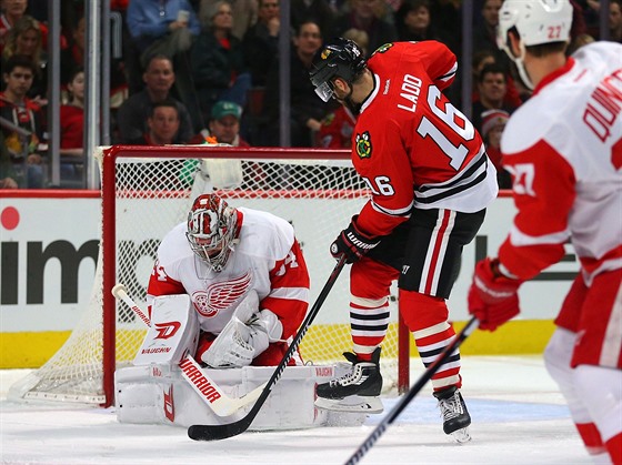 Andrew Ladd z Chicaga zkouí protlait puk do branky Petra Mrázka z Detroitu.