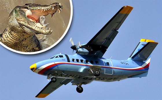 Tragickou leteckou havárii v Kongu zavinil krokodýl, který v kabin utekl z...