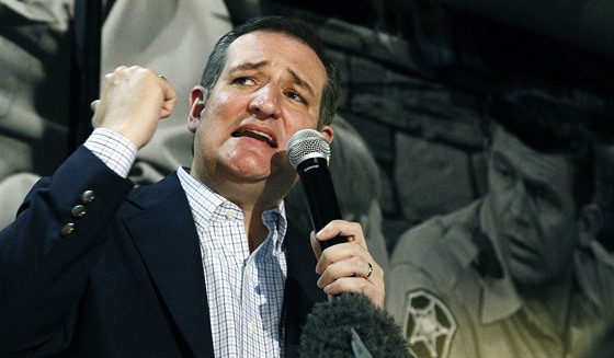 Ted Cruz, republikánský uchaze o nominaci v amerických prezidentských...