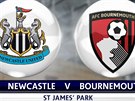 Premier League: Newcastle - Bournemouth