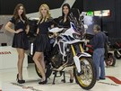 Hostesky brnnského Motosalonu 2016