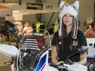 Hostesky brnnského Motosalonu 2016