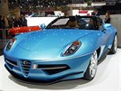 Alfa Romeo Disco Volante Spyder