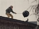 Uprchlý ibis Houdini dopaden