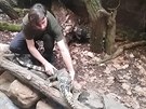Zoo Plze� uk�zala nov� chovan� druh varana