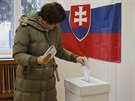 Na Slovensku zaaly v sobotu ráno volby. Snímek je z amorína. (5.3.2016)