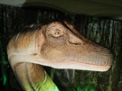 Výstava Nelítostný pravk v Západoeském muzeu. Diplodocus (2. bezna 2016)