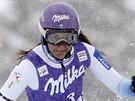 eská lyaka árka Strachová na trati slalomu v Jasné.