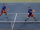 Tomá Berdych (vpravo) a Radek tpánek bhem deblu v 1. kole Davis Cupu