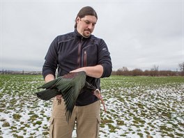 Odchyt ibisa u Brandsa nad Labem
