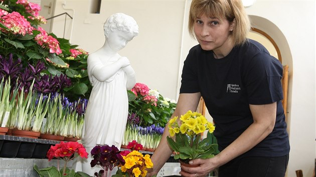 Ppravy na vstavu Pedja v Krlovsk zahrad IV.: Voda na Praskm hrad & hyacinty a hvzdnky.