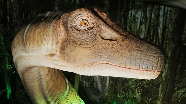 Výstava Nelítostný pravěk v Západočeském muzeu. Diplodocus (2. března 2016)