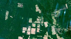 Satelitní snímky odhalí i malé vykácené plochy detného pralesa.