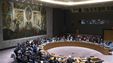 Mimoádném zasedání Rady bezpenosti OSN (1. bezna 2014)