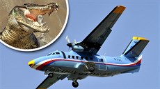 Tragickou leteckou havárii v Kongu zavinil krokodýl, který v kabin utekl z...