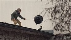 Uprchlý ibis Houdini dopaden