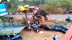 Rozzuený slon zvedl v Indii do vzduchu motorovou riku. (25. února 2016)