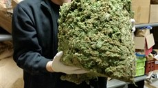 Policie rozbila srbský drogový gang na M�lnicku a na Praze-západ. Zkonfiskovali...