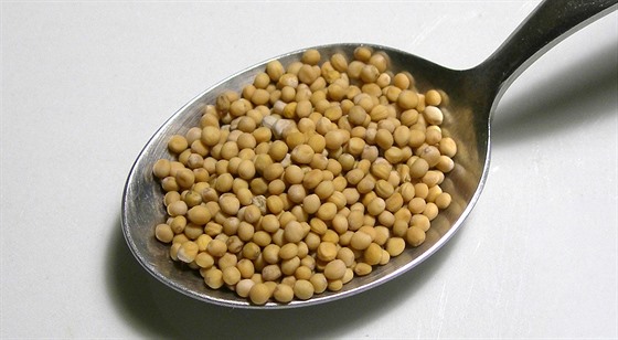 Semínka hoice seté, neekaný zdroj bisfenolu v naí strav