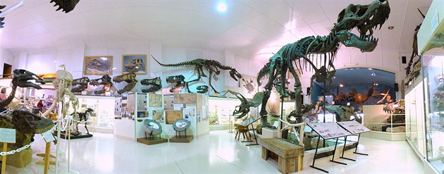 Největšího tyranosaura s hmotností tří slonů vědci ještě neobjevili