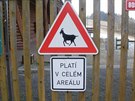 Pro silnice zatím znaka s obrázkem kozy schválená není.