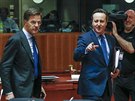 Dánský premiér Mark Rutte a britský ministerský pedseda David Cameron po...