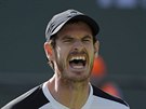 Andy Murray na turnaji v Indian Wells
