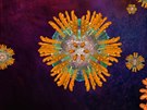 Virus hepatitidy typu C