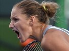 eská tenistka Karolína Plíková se raduje z výhry nad  Britkou  Johannou...