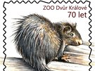 Zoo Dv�r Kr�lov� vyd�v� speci�ln� emisi zn�mek k 70. v�ro�� zalo�en�. Autorkou...