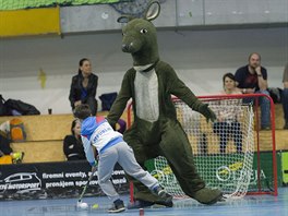 KLOKAN V BRN. Dominik Haek prohrl szku s florbalisty a na domcm zpase...