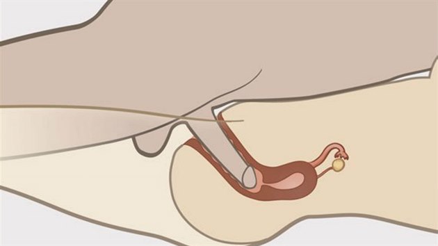 Text je dopln�n o n��rty r�zn�ch sexu�ln�ch poloh