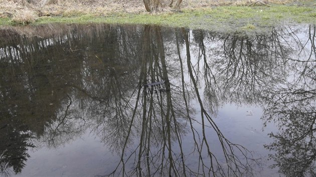 Po posledn krdei odhodili pachatel mal trezorky do rybnka. Policist je nali.