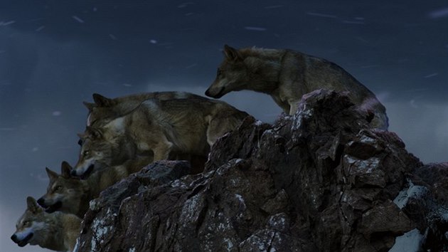 Z filmu Totem vlka