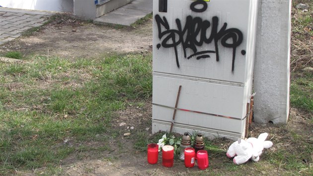 Br�an� pro zavra�d�nou d�vku vytvo�ili pietn� m�sto u arboreta Mendelovy univerzity.