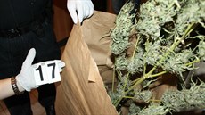 Rozsáhlý policejní zákrok na Chebsku proti drogám. (17. 3. 2016)