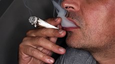 Ilustra�ní snímek