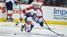 Jií Hudler v NHL naposledy oblékl dres Dallasu, na nový zámoský kontrakt ekal v lét marn. 